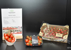 De Sweetest Queen van Tomeco heeft een lange shelflife en valt niet van de steel wanneer ermee wordt geschud.