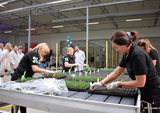 En natuurlijk moet dat secuur gebeuren door ervaren werkkrachten, die precies werk makkelijk doen lijken.