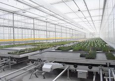 De tweede sectie heeft een luchtvochtigheidspercentage van 85%.