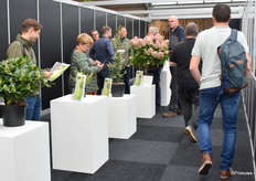 In de hal na de entree stonden alle prijswinnaars van de KVBC (Koninklijke Vereniging voor Boskoopse Culturen) opgesteld.