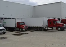 Aan het laaddock staan de typische Noord-Amerikaanse vrachtwagens te wachten op een nieuwe vracht