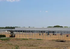 Het bouwproces in beeld, foto via Prins Greenhouses