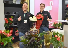 Michel van Rijn en Wesley Guttenberg met de Anthuriums van Flamingo Plant.