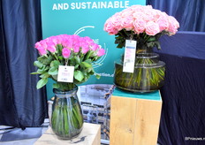 Natuurlijk werden er verschillende soorten gepresenteerd. Links nog een nummer H30 van Pride of Africa en rechts de Sophia Loren van Berg RoseS.