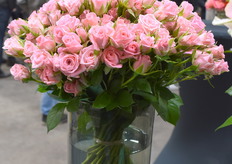 De Odilia van Berg Roses stond er ook mooi bij.