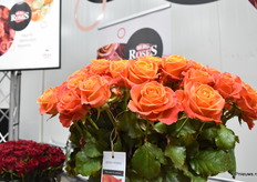 De Clarence+ van Berg RoseS.