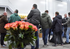 De Outlaw van de Pride of Africa.