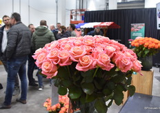 Miss Piggy+ van Berg RoseS.