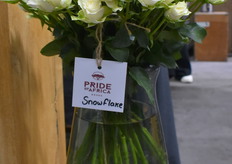 Snowflake van de Pride of Africa.