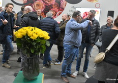 Njano van Pride of Africa.