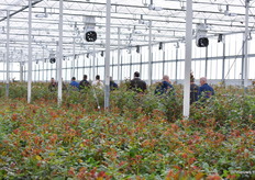 Na de presentatie werden er 8 groepen door het bedrijf rondgeleid.