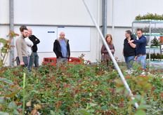 Loek van Adrichem, rechts op de foto, geeft een rondleiding en verteld meer over het jonge gewas.