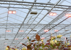 De full-LED armaturen.