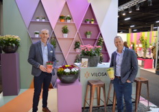Loek Ammerlaan en Fabian Noordermeer van Vilosa. Beiden hebben een potchrysantje in de hand, een zgn Swifty, een nieuwe serie die de kweker in 6 verschillende kleuren beschikbaar heeft.