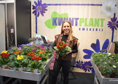 Linda Duijvestijn van Kwintplant, dat o.a. weer de calynopsis calceolaria, naar het schijnt ook wel 'pantoffelbloem' geheten, beschikbaar heeft.