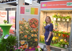 Anita Kap van Kwekerij Martin van der Velden, dat uiteraard bekend staat om zijn potgerbera's maar nu met de zgn Portulaca een compleet nieuw soortjes toevoegt aan het assortiment.