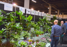 Veel kwekers 'staan' op de beurs, maar er zijn er ook genoeg die zich laten vertegenwoordigen door een verkoper of verkooporganisatie.