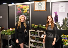 Heleen en Rianne van Kwekerij Wilbert de Rijke presenteren de potranonkels in een nieuwe hoes.