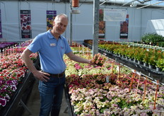 Another highlight is the petunia 'Shake' series. 25 years ago Hem Genetics started breeding compact petunia series. The amount of different (combination of) colors is enormous. Arguably, the 'Shake', which combines colors in such a way the exact outcome is unknown and every time produces unique phenotypes, is realy something new.