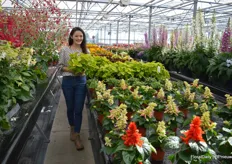 Menniu Liu is a product manager with Syngenta/Floranova, here presenting a new Coleus variety.
