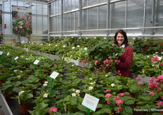 Ilona Smith with ABZ Seeds, here showing the newest color (Cherry Blossom) in the Summer Breeze series