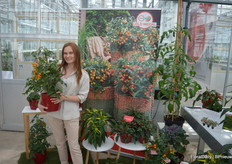 Viktoriia Taranenko with Prudac, preseting one of the novelties in the breeders' assortment: the Tiny Temptation (here orange - it comes in three colors, the others beeing red and yellow).