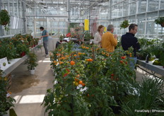 Peek into the trials, which were held at Vertify in Zwaagdijk