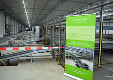 Wat je op veel moderne tuinbouwbedrijven aan automatisering tegenkomt, zoals een transportband dat hier of daar de grond in of uit komt, zie je hier in veelvoud