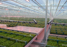 Er kan in theorie iemand door de tafels heen lopen, maar dat is, behoudens onderhoud of andere werkzaamheden, in de dagelijkse praktijk niet nodig en ook niet de bedoeling.