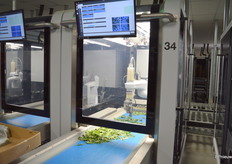 Een robotarm steekt de stekjes in de perskluitjes