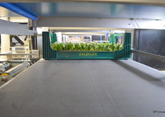 Klaar om de kas in te gaan en te beginnen aan weer een nieuw rondje