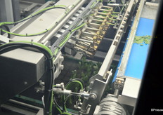 De stekrobots zijn niet uniek aan dit bedrijf maar 42 stuks op een rij is uitzonderlijk zo niet uniek