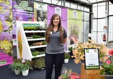 Caroline James van Kernock Park Plants.