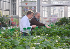 Eric Juckers van ABZ Seeds leidt een klant rond door de kas.