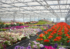 Overview van de proef bij Syngenta.