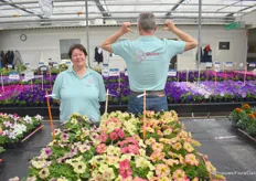 Carola Mantel – van Rijnsoever en René Knijn van Hem Genetics bij de Shake. De nieuwe hybrid Petunia geeft een zee aan verschillend gekleurde bloemen. Het is een compact soort, natuurlijk uit zaad, en er zijn geen remmiddelen nodig want het er is op veredeld dat de plant mooi compact blijft.