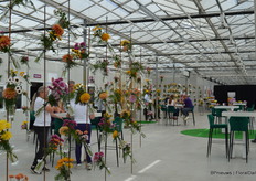 Een blik in de presentatie bij Floritec