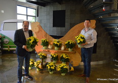 Bert Koppe en Koen Eidhof van Koppe Begonia presenteren o.a. een nieuwe gele, de Hailey Yellow