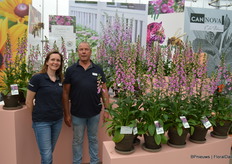 Friederike van der Boon en Jeroen Jongerius van Takii, dat o.a. een compleet nieuwe serie digitalis presenteerde onder de naam Panter. Uit zaad, F1 en dus geen stuifmeel maar trekt toch bijen aan, woekert niet, is compact en een bi-annual máár kan ook in hetzelfde kalanderjaar al bloeien.