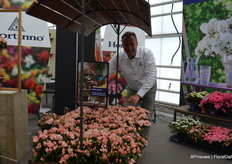 Een beetje donker (slechte fotograaf) maar dat is inderdaad Stefan Laridon van Hortinno. Met een mooi karretje azalea 'Lime Peach', een recente introductie die gekenmerkt wordt door een bijzonder lange en rijke bloemenpracht, met bloemen die geleidelijk aan doorkleuren en naar verluid bovendien een lang 'kaars-stadium' kennen alvorens open te gaan.