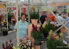 Ook bij Hem Genetics weer volop noviteiten, zo toont Carola Mantel. Zoals bijvoorbeeld een aantal nieuwe nummers in de 'Double Shot' Anthirrhinum serie.