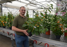 Cris Oostveen van De Zonnebloem met in de hand een nieuwe Abutilon variëteit.