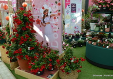 MNP is ook bekend van het merk Sundaville, waarbinnen dit jaar een nieuwe rode is geïntroduceerd