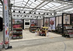 Blik in de presentatie van Queen