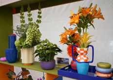 En af en toe wat knallende kleuren er bij