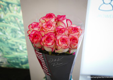 Jumilia van J&K Rosa