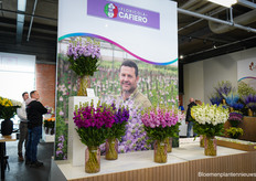 Een van de nieuwe kwekers van Starflor, Floricola Cafiero