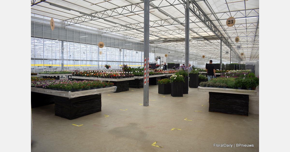 Schneider failliet verklaard, gesprekken en zoektocht naar doorstart in volle gang