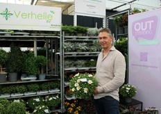 Steven Verhelle van Verhelle bv uit België. In zijn hand de Out Standing Chrysantemum Leba. Een uniek ras in zijn soort. Blijft door bloeien tot eind oktober en maakt heel veel stuifmeel aan.