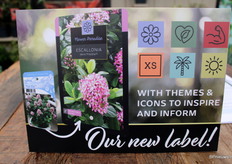 Evergreen Beauties, Rough & Tough, Tropical Explorers, Sunlover Patio en Flower Paradise.